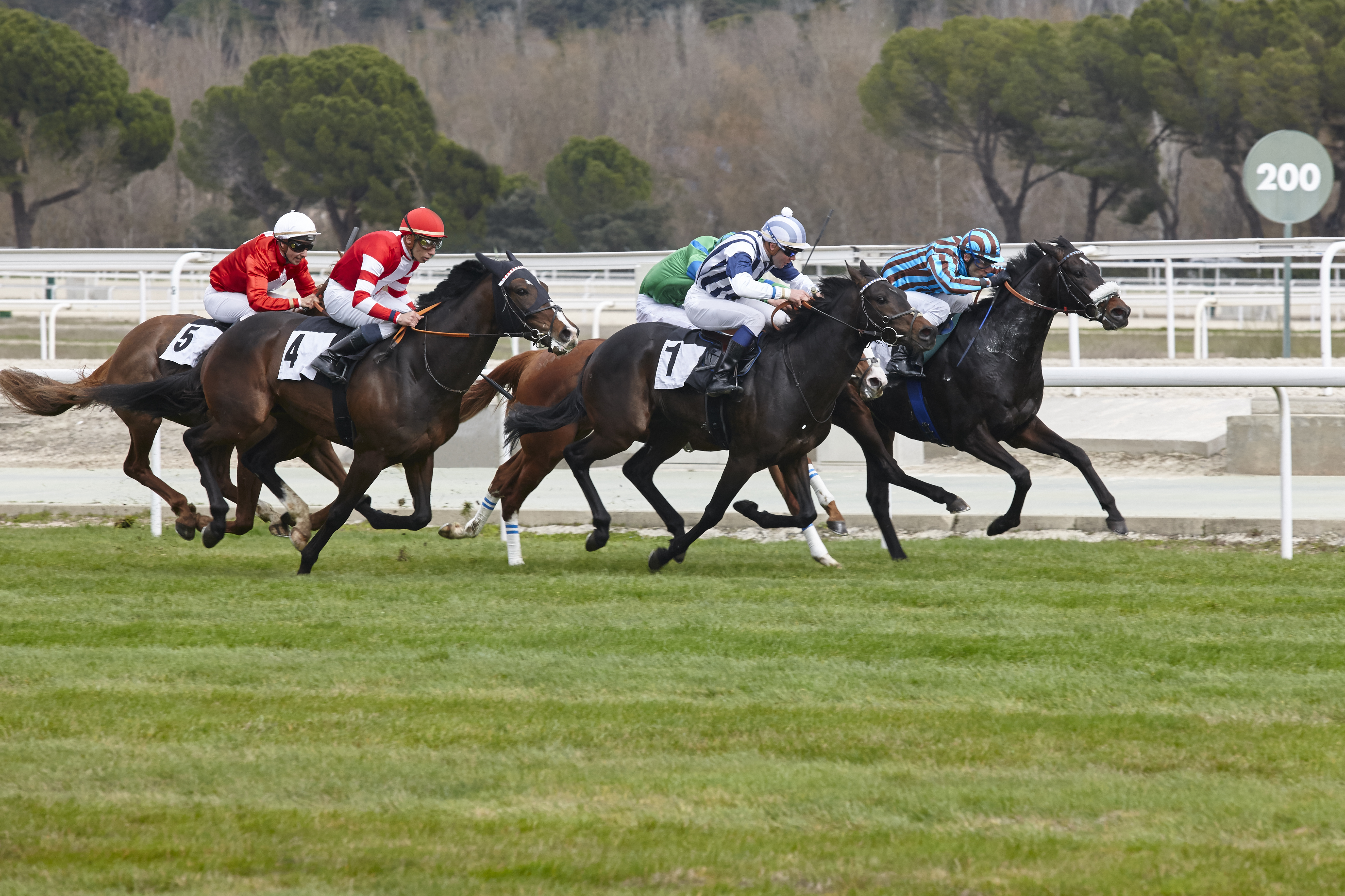 Lone Star Park